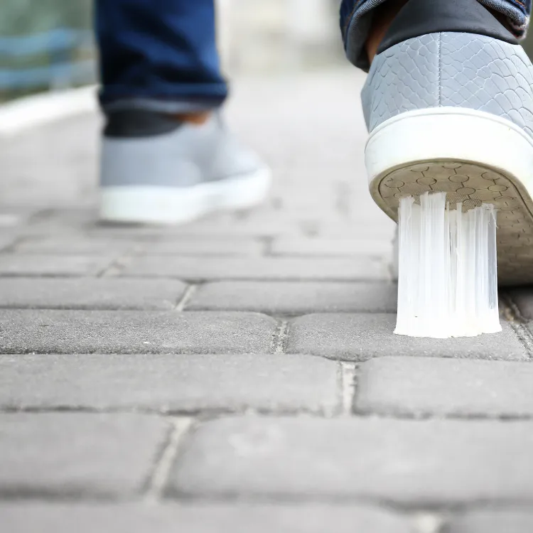 Gum Removal service in Tampa Bay