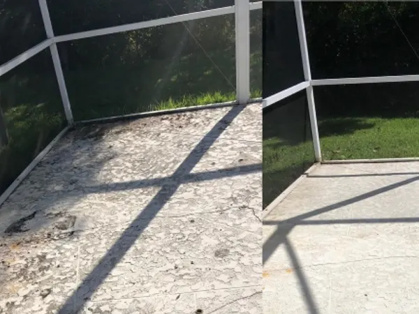 Pressure Washing project in Elfers, FL