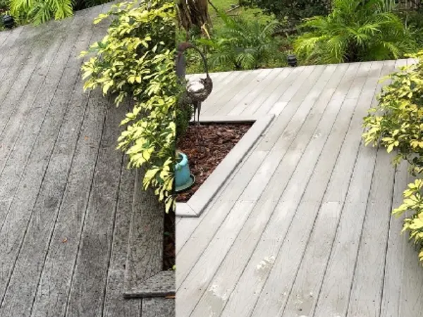 Pressure washing — Palm Harbor