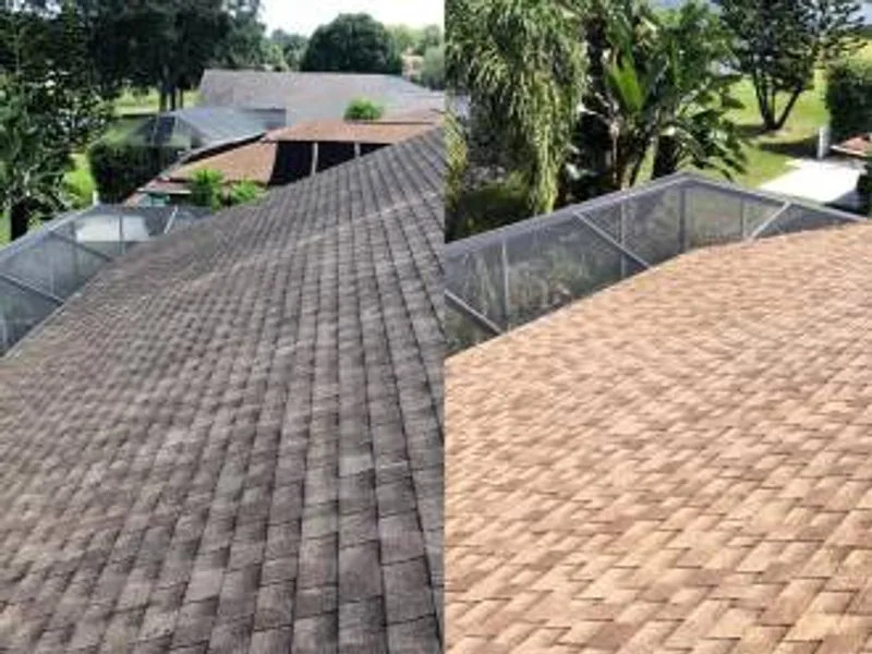 Soft-wash roof cleaning