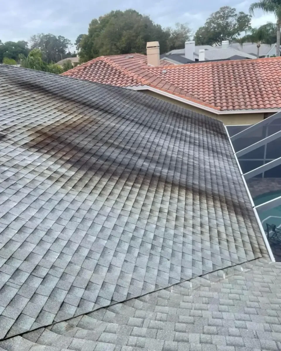 Before — Tile + shingle roof cleaning — Holiday, FL