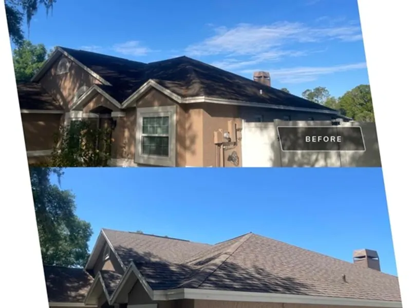 Roof Cleaning project in Odessa, FL