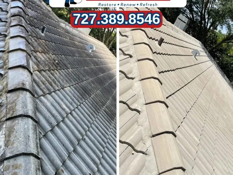 Roof Cleaning project in New Port Richey, FL