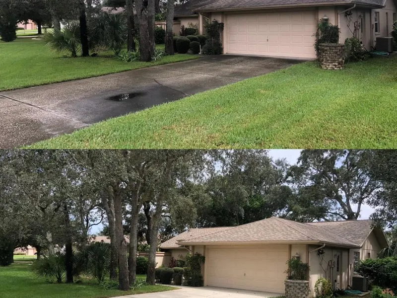 Roof Cleaning project in Spring Hill, FL