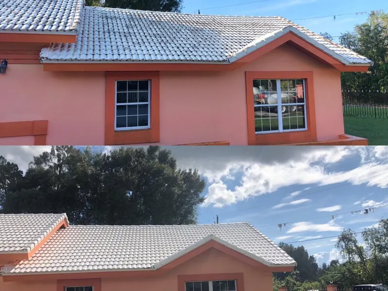 Roof Cleaning project in Tampa, FL