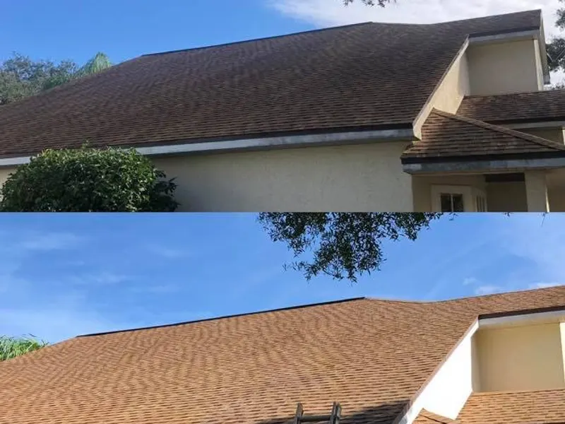 Roof Cleaning project in Trinity, FL