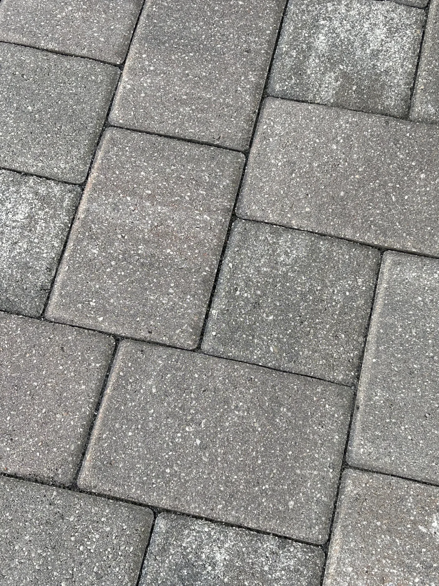 Close-up paver joints before cleaning and re-sanding