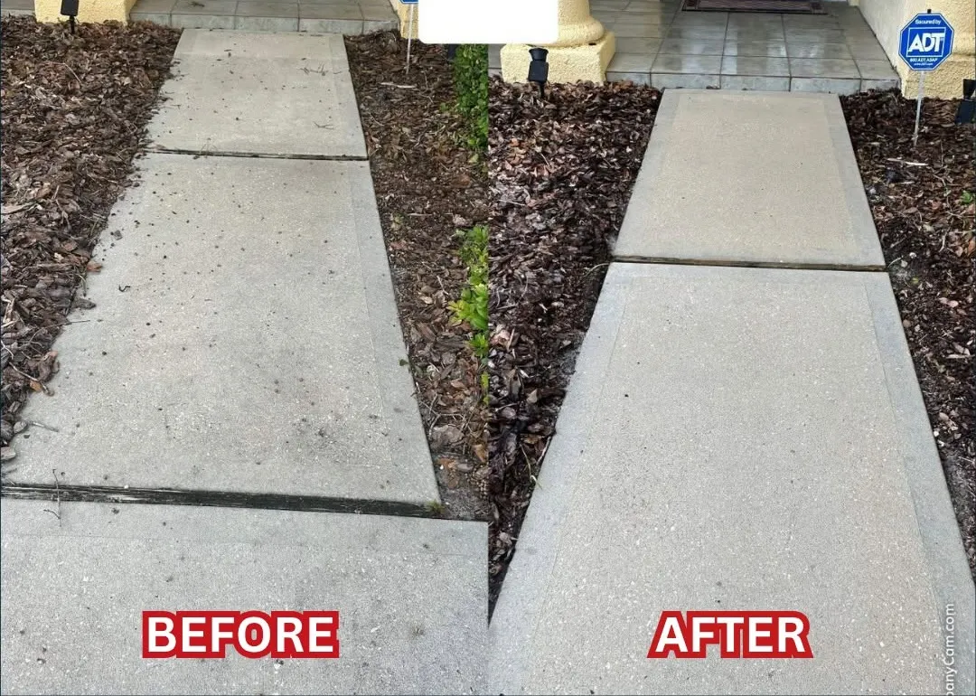 Concrete sidewalk before and after pressure cleaning, side by side