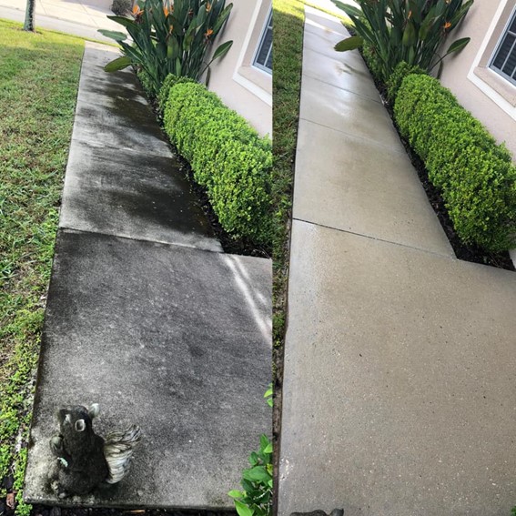 Pressure Washing in Wesley Chapel, FL